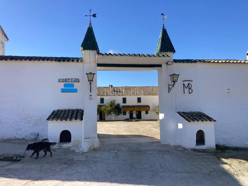 Foto d897f19f-6166-4103-9361-e4de4495a73d. Finca rústica a Rute