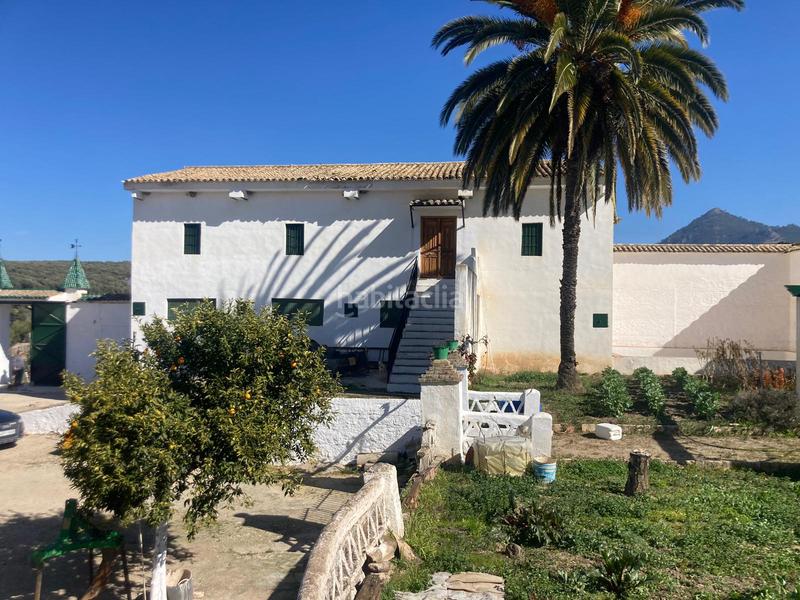 Foto f31db195-52af-463e-8955-8903f969bed5. Finca rústica a Rute