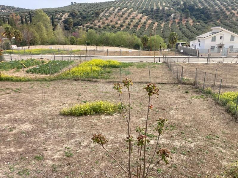 Foto 9dda6e3f-ef26-4209-9340-33dde45ac893. Wohngrundstück in calle aurelia muñiz 23 in Rute