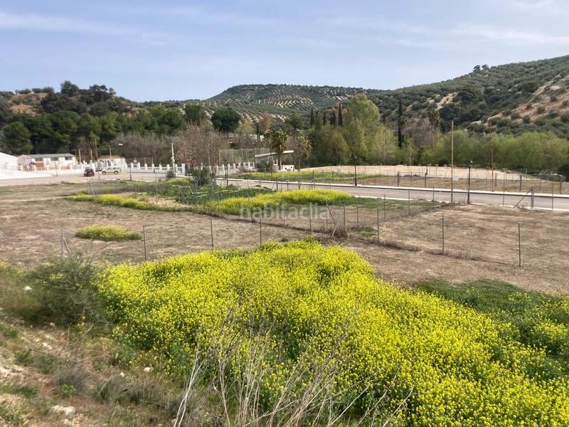 Foto ad486dae-a57c-444a-b322-c874e3e6225b. Wohngrundstück in calle aurelia muñiz 23 in Rute