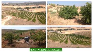 Finca rústica a Guadahortuna. Se vende finca situada en el término municipal de guadahortuna (