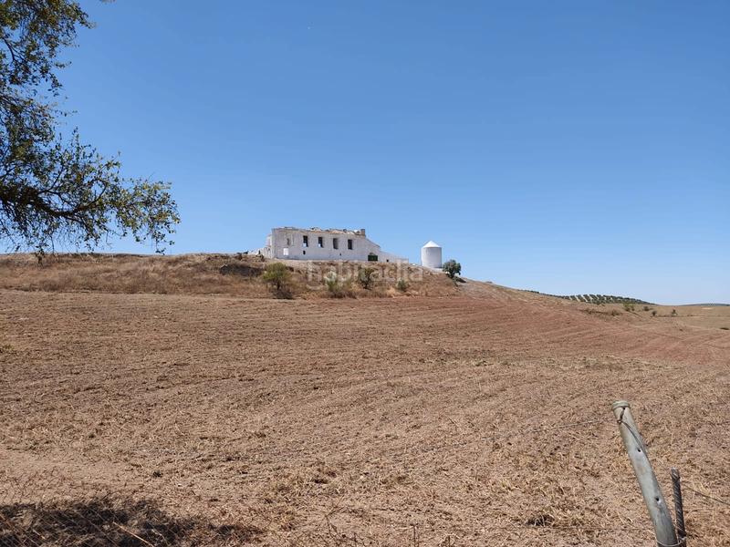 Foto 06a9cd6c-dd2c-4784-b222-e3e1ddd91d96. Propriété dans Humilladero