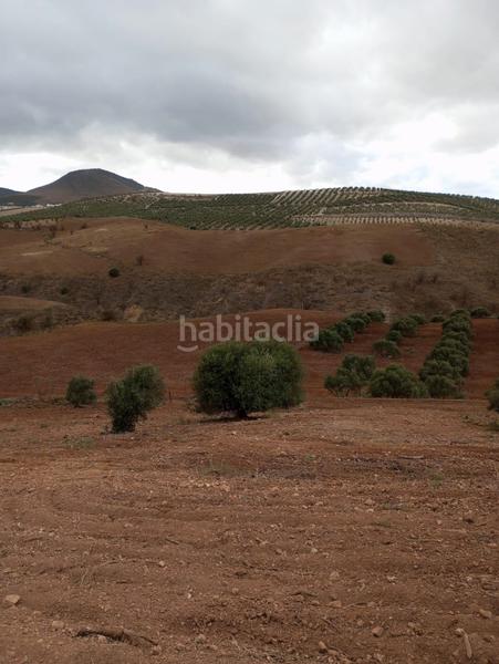 Foto 0c70c1f4-6bee-49d5-808d-c6a442cc5b29. Propriété dans Humilladero