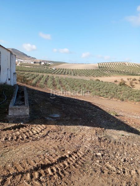 Foto 18faa0ce-5a05-4d1a-92ef-dc7aef0fe9f0. Propriété dans Humilladero