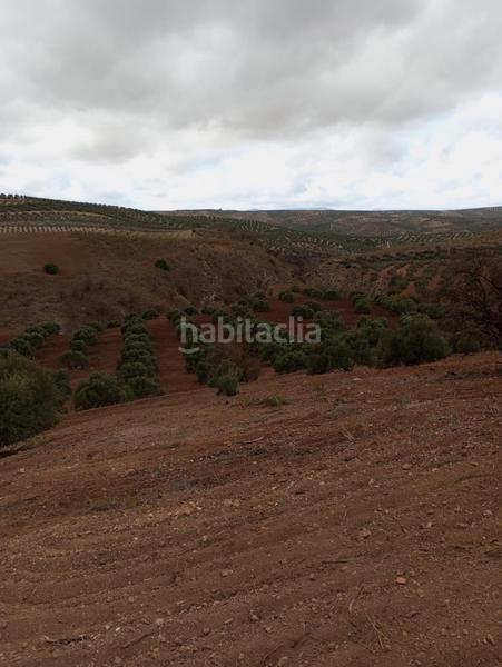 Foto 1a7a9e7f-0d2d-406e-ad5b-62d572b1a41c. Propriété dans Humilladero