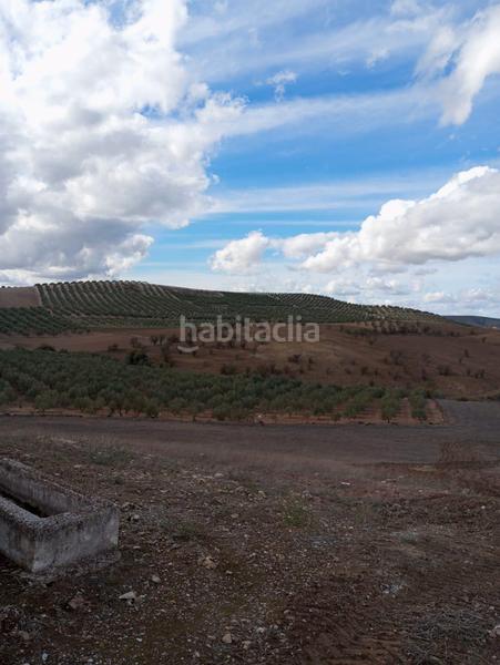 Foto 2d228d82-5cdf-4e39-ba8d-3cb12a9c60d4. Propriété dans Humilladero