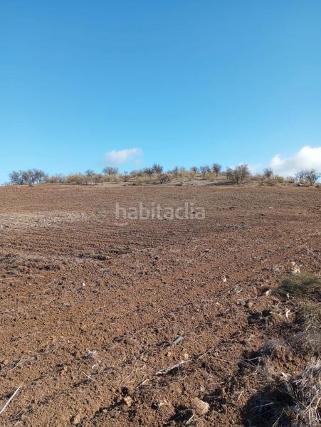 Foto 48d3c49f-5e4f-4cc1-9033-4f586547f798. Propriété dans Humilladero