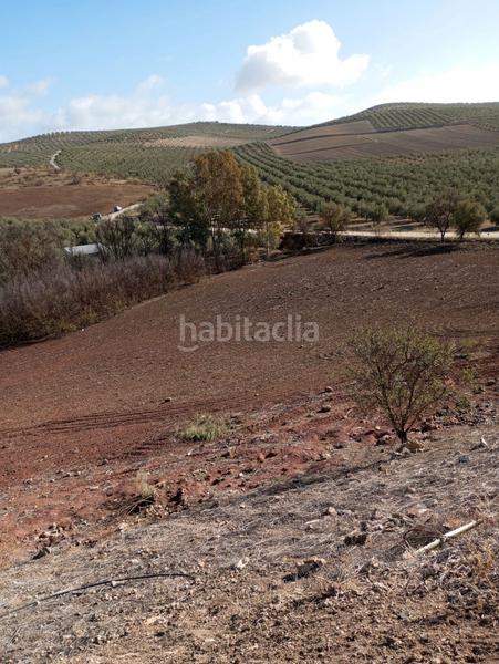 Foto bf1ae4e1-34de-4ef2-8f4a-cf6fedb09fae. Propriété dans Humilladero