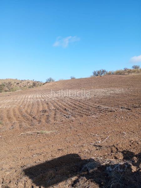 Foto d0c8b587-e350-4e4f-aefe-29dc6afeb0df. Propriété dans Humilladero