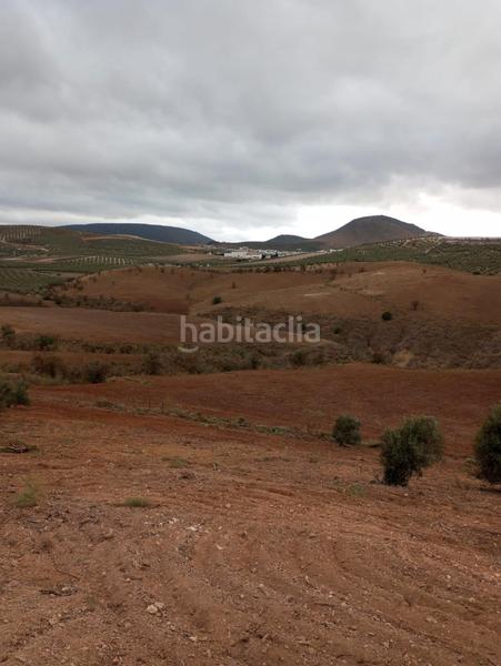 Foto e9f224bb-fdb9-47d8-b7e1-9dd9f91a1c3a. Propriété dans Humilladero