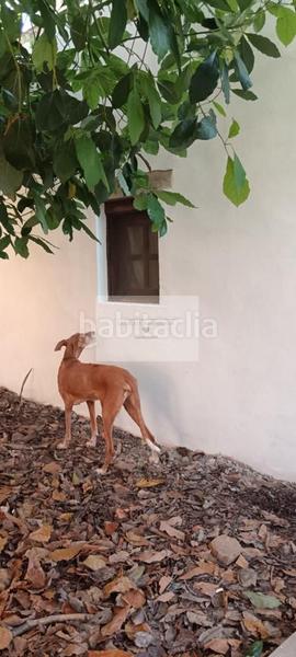 Foto b446e93d-cba8-4cf0-8b64-7bcb2f9e82d4. House in Valsequillo de Gran Canaria