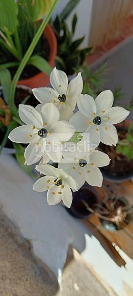 Foto c6f5e19b-ee1e-4d48-9606-eba80adce199. House in Valsequillo de Gran Canaria