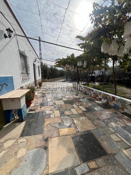 Foto 1469c95a-8b62-494a-b481-73d9b1a015eb. Finca rústica a Alsodux