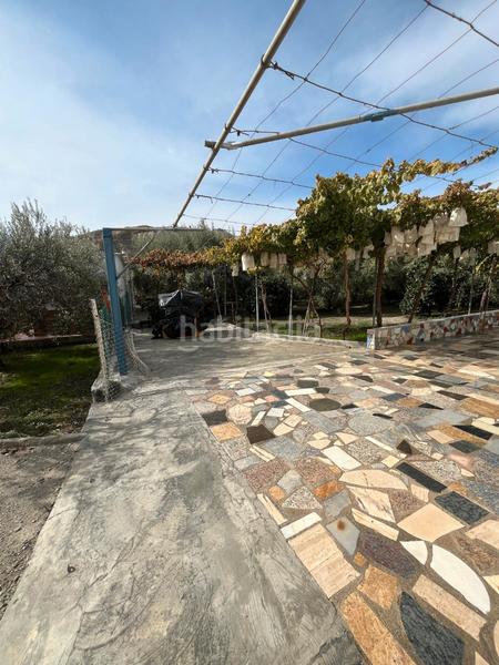 Foto 14e8c7d9-87b7-4147-8db6-24bb6ec20430. Finca rústica a Alsodux