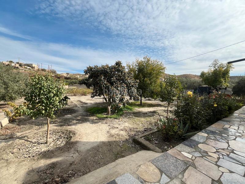 Foto 16c63497-2c73-4b77-a8c8-6c24a4b9decb. Finca rústica a Alsodux