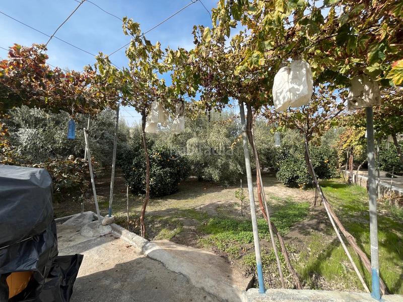 Foto 2da9c0d4-d47e-40b1-918b-8dde276fa30a. Finca rústica a Alsodux