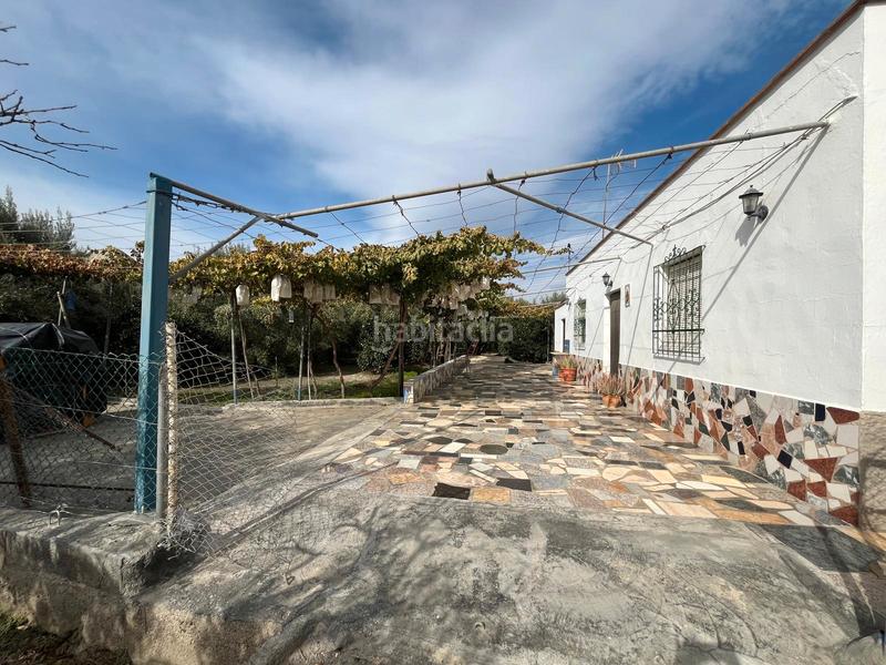 Foto 32fb2a75-1424-42bc-a60c-3dd310fad9d4. Finca rústica a Alsodux