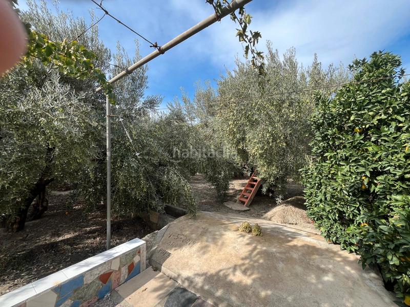 Foto 768c9b3b-5da8-415a-acc6-61c05c760ed0. Finca rústica a Alsodux