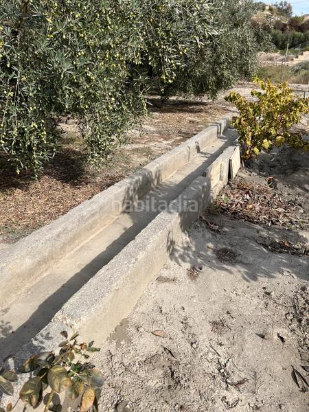 Foto 82812359-22e2-4bda-b0bd-cfdfa8698c66. Finca rústica a Alsodux