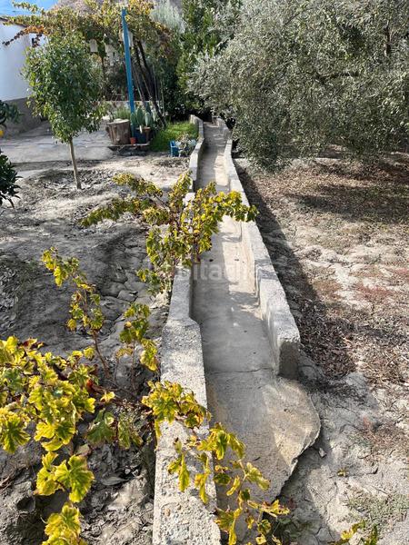 Foto 86943d6e-ff04-4b16-a673-ac0d188ea3a3. Finca rústica a Alsodux