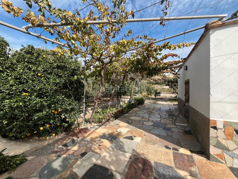 Foto a4b12904-099d-4f94-bbfb-5cf8c2ca9035. Finca rústica a Alsodux