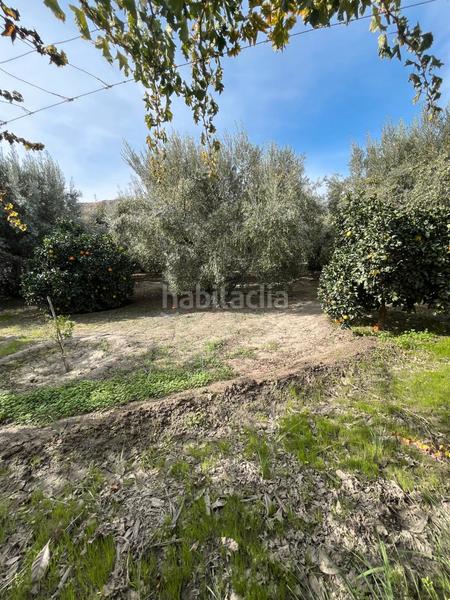 Foto b1068b97-2165-4708-b223-391f10257150. Finca rústica a Alsodux