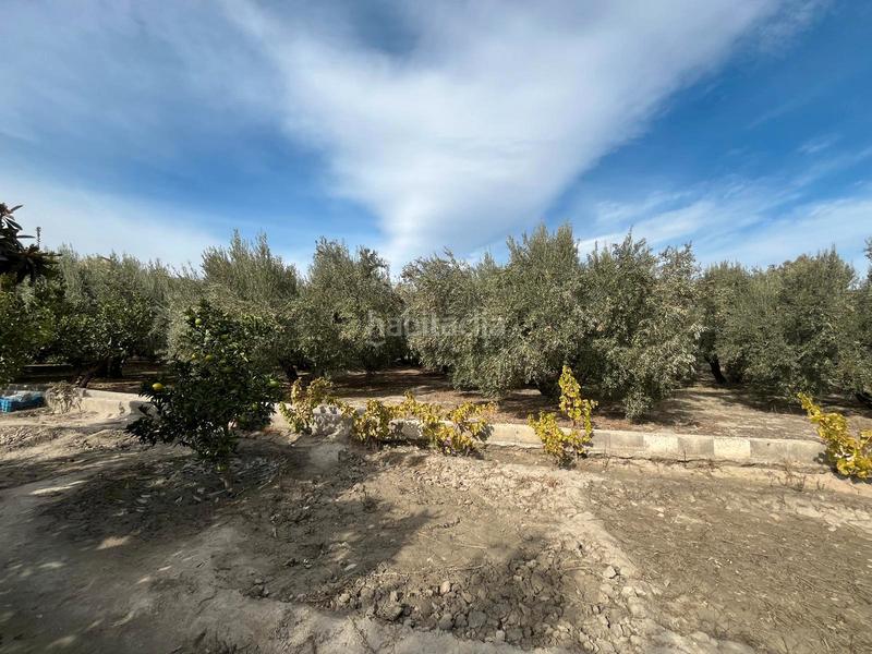 Foto df29426c-b256-4545-ac33-a40a301957fb. Finca rústica a Alsodux