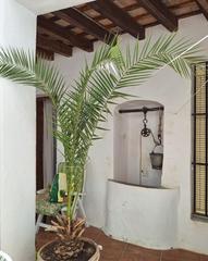 Casa a Vejer. Casa con terreno en vejer de la frontera