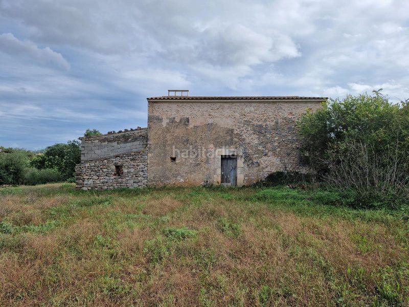 Foto b7f189f9-6ae6-45ff-8702-41c94baa8d74. Mas dans Son Servera poble Son Servera