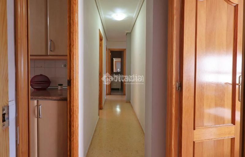 Foto ec46f42a-8204-4b4d-b600-14a209a8c20c. Pis a El Baladre Sagunt
