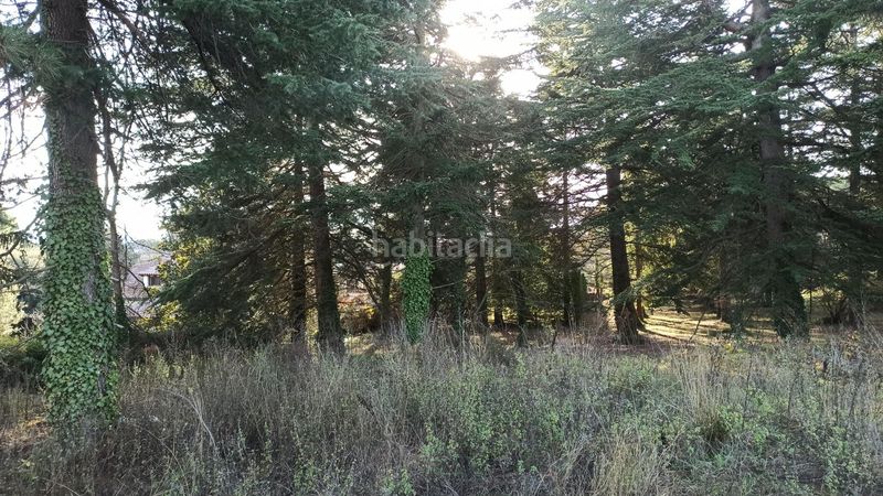 Foto 3681355e-75bc-402c-ada8-036864f3ffc1. Terreny residencial a Tona