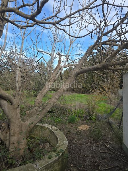 Foto 3fa39cd4-054f-4a2e-87c2-c4f168809e31. Xalet amb aparcament a Aljomahima - Ermita Gabias (Las)