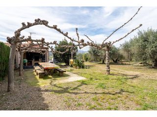 Casale in Carretera  de maspujols 9. Finca rústica en riudoms  naturaleza, privacidad y vida tranquil