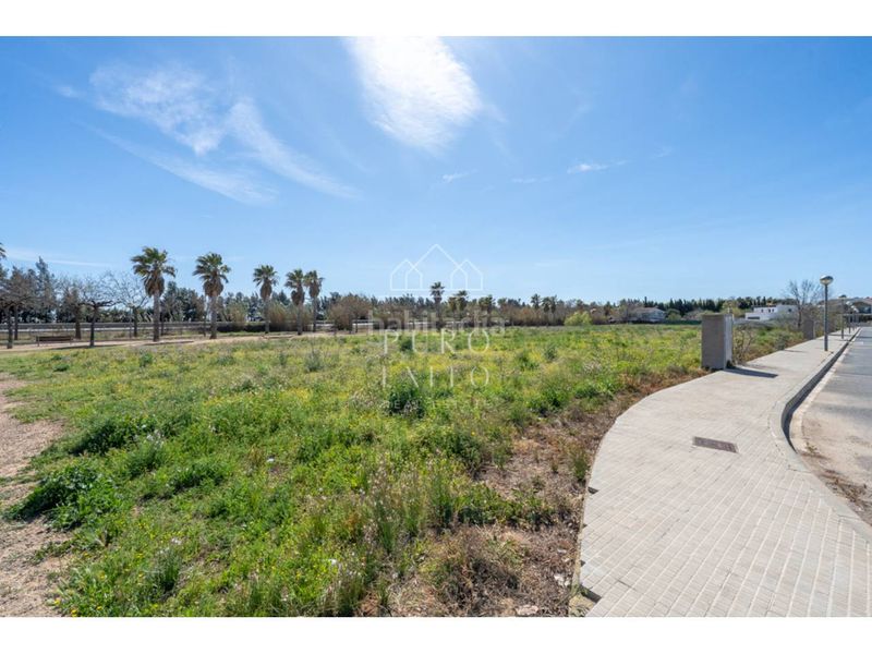 Foto 22ea69a2-48f4-4808-b2f9-4b4dd4c9184e. Finca rústica a calle llevant . a Riudoms