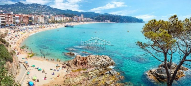 Foto 32110457-03b0-499f-b9d7-7512ee7cbf69. Apartament a Fenals Lloret de Mar