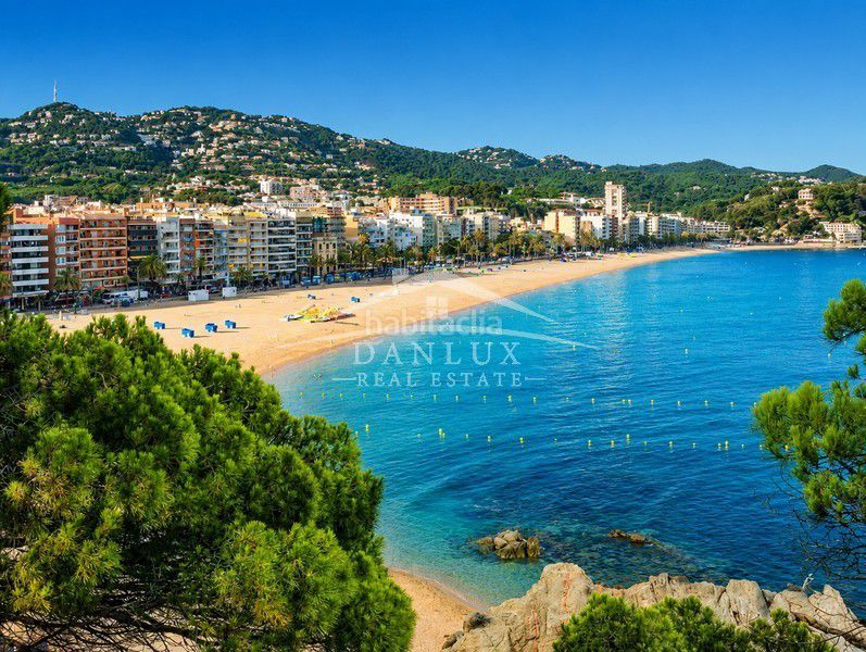 Foto 80296ed1-998f-4c2f-9b0a-9f3b39d38e0e. Apartament amb aparcament a Canyelles Lloret de Mar