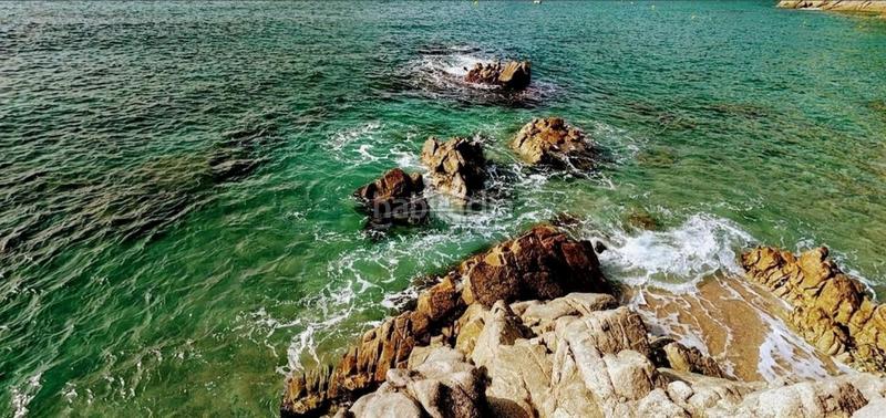 Foto 756f19af-ad3f-4ba2-87ce-9fd3a3329dd6. Xalet amb aparcament a Santa Maria de Llorell Tossa de Mar