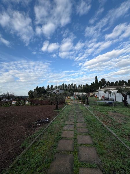 Foto 9c2e072c-5926-4264-b971-fad916776360. Terreno residencial en camino de montealegre alto 24 finca urbanizable no consolidada en Jerez de la Frontera