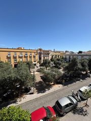 Pis a Centro. Espectacular piso en centro de jerez