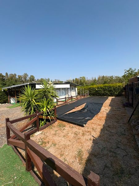 Foto ca1fed34-0879-4944-9c4e-9da96671f62d. Finca rústica a El Rocío - La Milagrosa Jerez de la Frontera