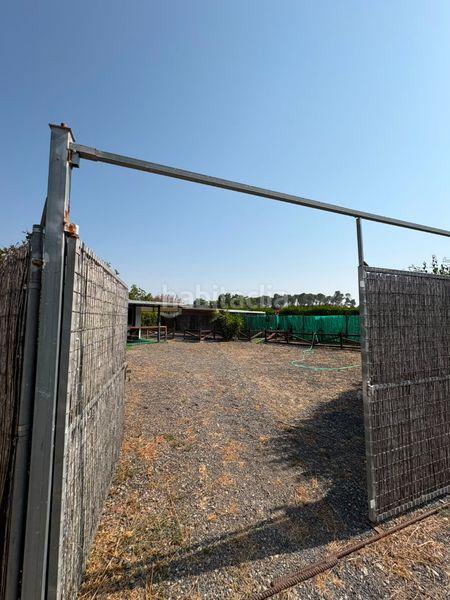 Foto e3d4a7cc-7e4f-4c5b-8b32-6be61f045789. Finca rústica a El Rocío - La Milagrosa Jerez de la Frontera