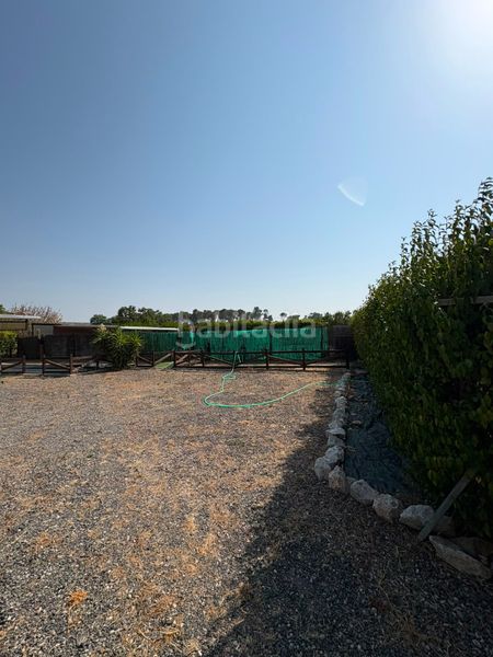Foto f1cd56ec-e949-45b6-a885-b1e8b7d5d221. Finca rústica a El Rocío - La Milagrosa Jerez de la Frontera