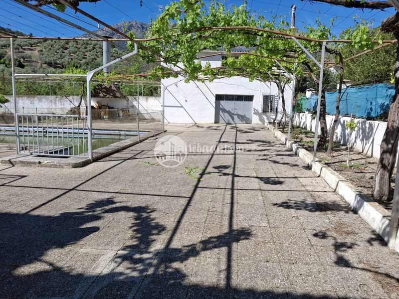 Foto de958360-7667-408f-b457-6eacfcae71a6. Xalet amb calefacció aparcament piscina a San Ildefonso - Catedral Jaén