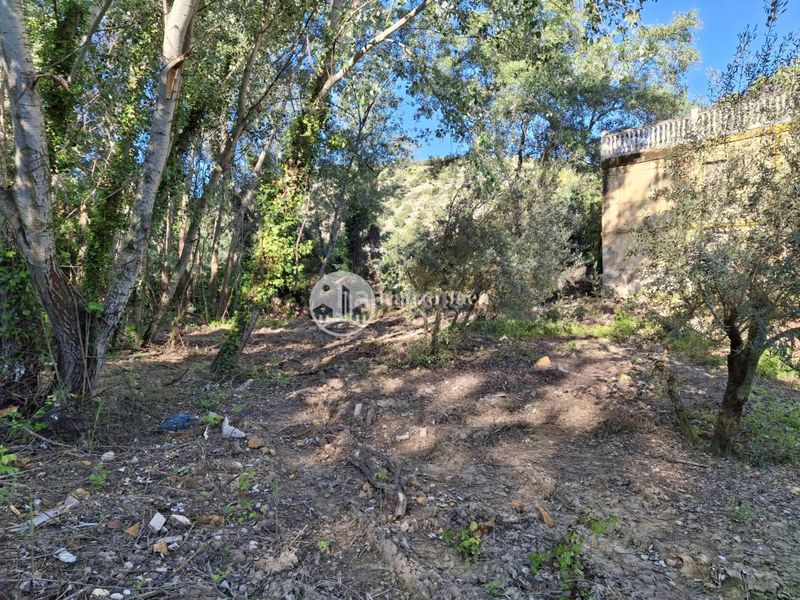 Foto 00f84753-4270-43b2-9a68-83a3f0a534f9. Finca rústica a Puente Jontoya - Puente de la Sierra - El Arroyo Jaén