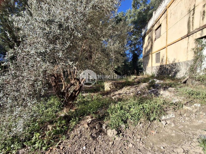 Foto 0967354b-7ba5-43e5-9734-310c67612b07. Finca rústica a Puente Jontoya - Puente de la Sierra - El Arroyo Jaén