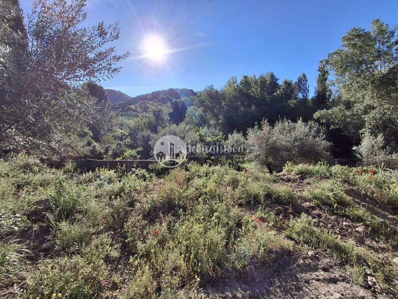 Foto 1ce578df-1241-45bd-9260-a2488ac25805. Finca rústica a Puente Jontoya - Puente de la Sierra - El Arroyo Jaén