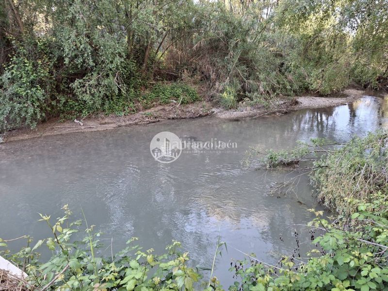 Foto 26315f21-53b8-4aae-a02b-0151993f7b5a. Finca rústica a Puente Jontoya - Puente de la Sierra - El Arroyo Jaén
