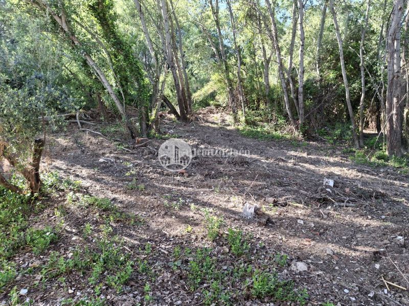Foto 7ff7f2b7-2ace-4792-b83c-baccda70c6b2. Finca rústica a Puente Jontoya - Puente de la Sierra - El Arroyo Jaén