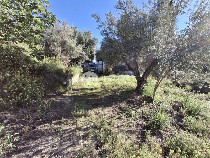 Foto 9f1456c6-34e8-460a-a9a0-827c8a58733e. Finca rústica a Puente Jontoya - Puente de la Sierra - El Arroyo Jaén
