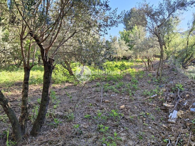 Foto b6639610-33ac-4d7d-bd2d-5f616c50b6dc. Finca rústica a Puente Jontoya - Puente de la Sierra - El Arroyo Jaén